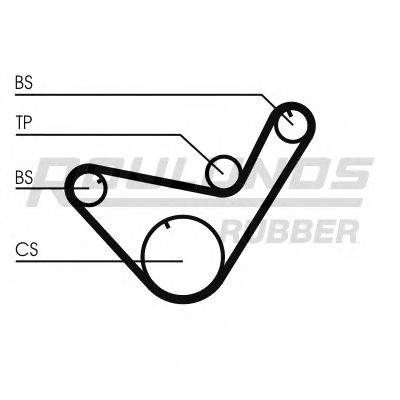 ROULUNDS RUBBER RR1316K1 Комплект ременя ГРМ