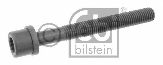 FEBI BILSTEIN 06666 Болт головки цилідра