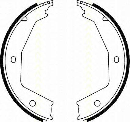 TRISCAN 810010629 Комплект гальмівних колодок, стоянкова гальмівна система