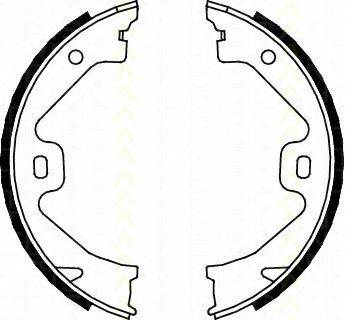 TRISCAN 810017011 Комплект гальмівних колодок, стоянкова гальмівна система
