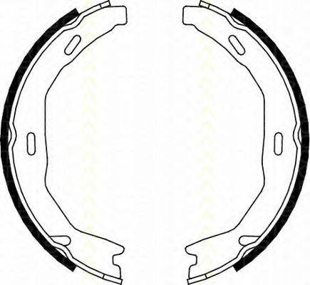 TRISCAN 810023029 Комплект гальмівних колодок, стоянкова гальмівна система
