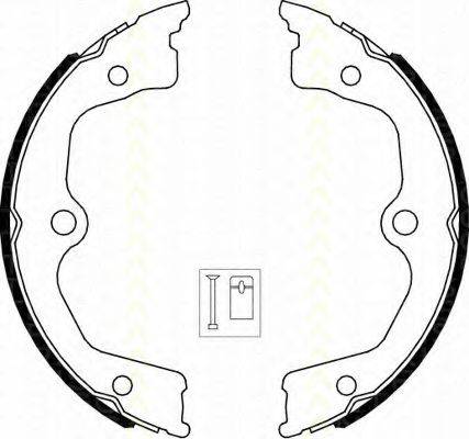 TRISCAN 810040009 Комплект гальмівних колодок, стоянкова гальмівна система