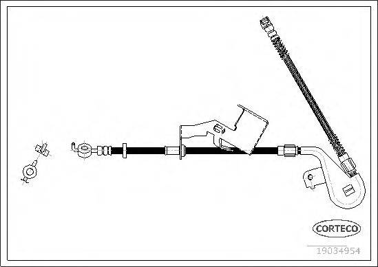 CORTECO 19034954 Гальмівний шланг