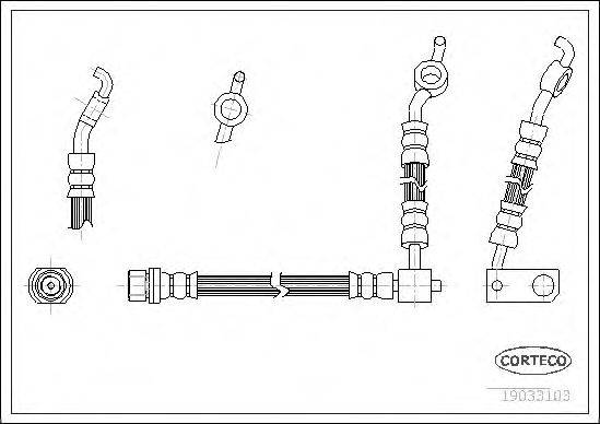 CORTECO 19033103 Гальмівний шланг