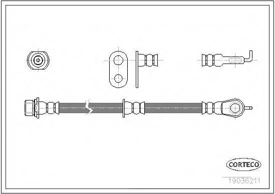 CORTECO 19036211 Гальмівний шланг