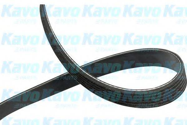 KAVO PARTS DMV1004 Полікліновий ремінь