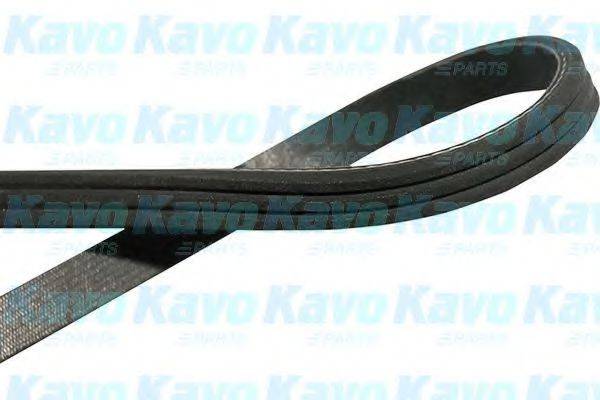 KAVO PARTS DMV1513 Полікліновий ремінь