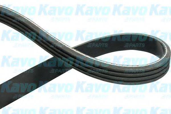 KAVO PARTS DMV1529 Полікліновий ремінь