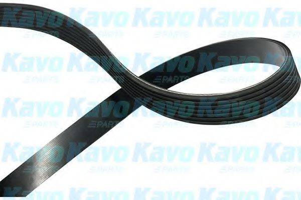 KAVO PARTS DMV2063 Полікліновий ремінь