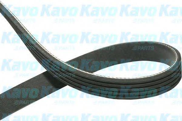 KAVO PARTS DMV3006 Полікліновий ремінь