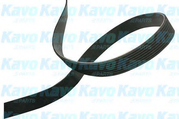 KAVO PARTS DMV4545 Полікліновий ремінь