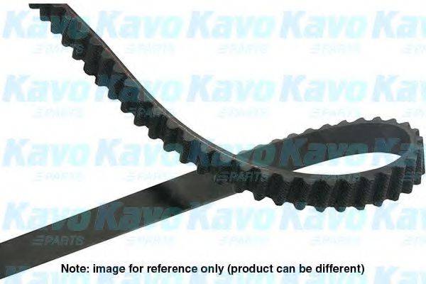 KAVO PARTS DTB6524 Ремінь ГРМ