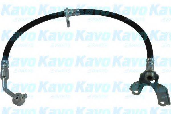 KAVO PARTS BBH2053 Гальмівний шланг