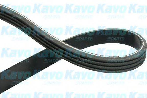 KAVO PARTS DMV1033 Полікліновий ремінь