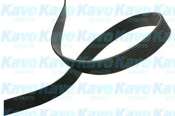 KAVO PARTS DMV4552 Полікліновий ремінь