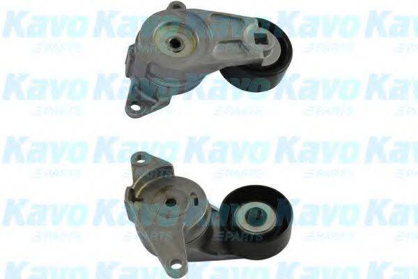 KAVO PARTS DTP1010 Натяжний ролик, полікліновий ремінь