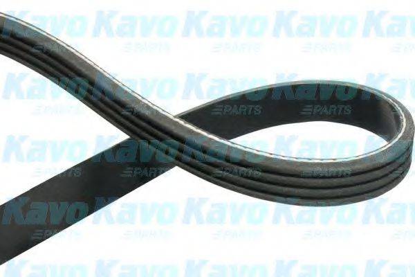 KAVO PARTS DMV1533 Полікліновий ремінь