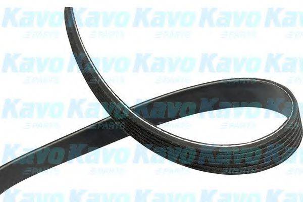 KAVO PARTS DMV4549 Полікліновий ремінь