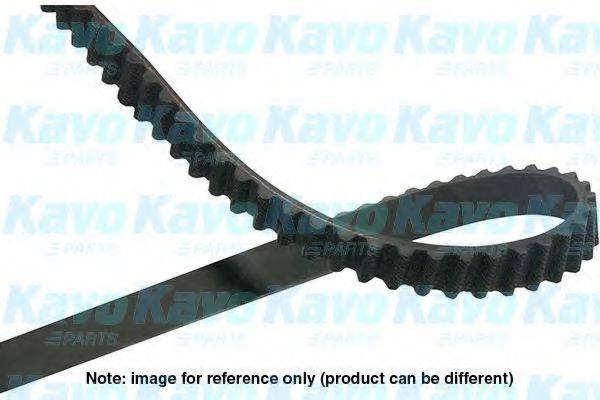 KAVO PARTS DTB8522 Ремінь ГРМ