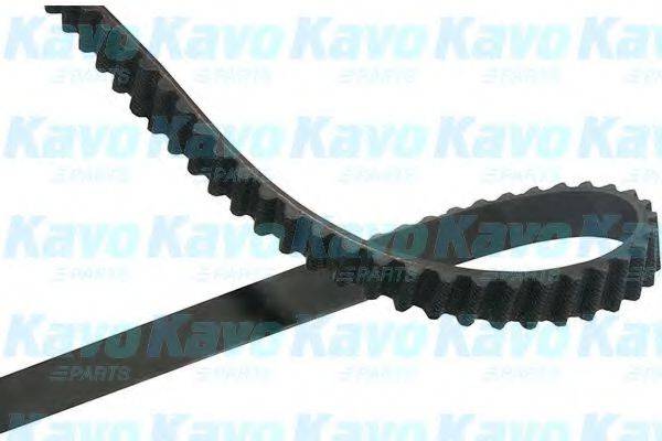 KAVO PARTS DTB8523 Ремінь ГРМ