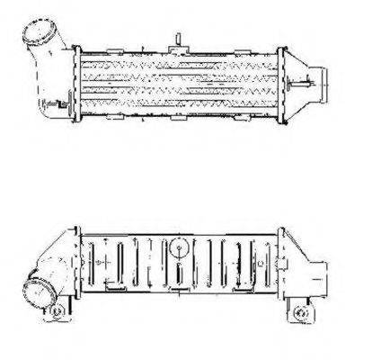 NRF 30444 Інтеркулер