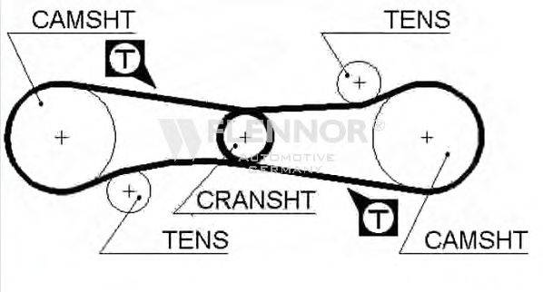 FLENNOR 4075 Ремінь ГРМ