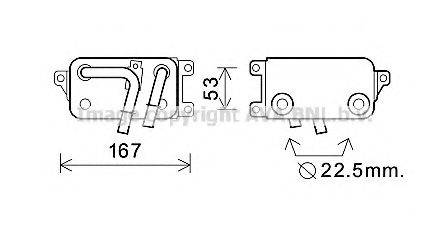 AVA QUALITY COOLING BW3396 Олійний радіатор, автоматична коробка передач