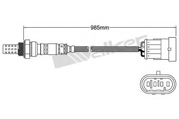 WALKER PRODUCTS 25024119 Лямбда-зонд