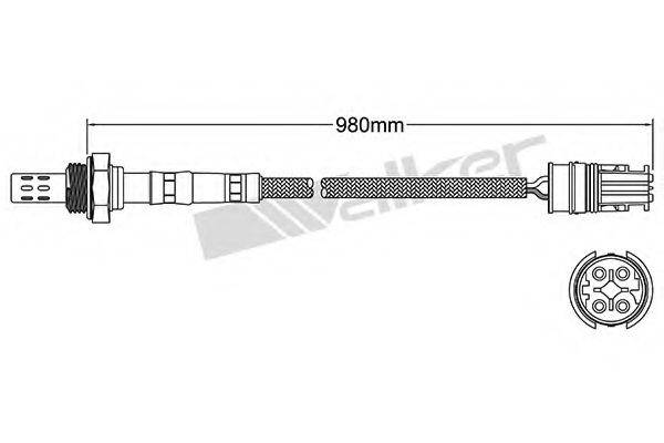 WALKER PRODUCTS 25024589 Лямбда-зонд