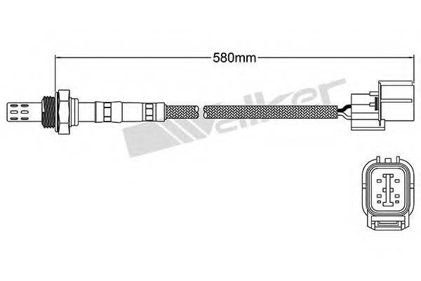 WALKER PRODUCTS 25024498 Лямбда-зонд