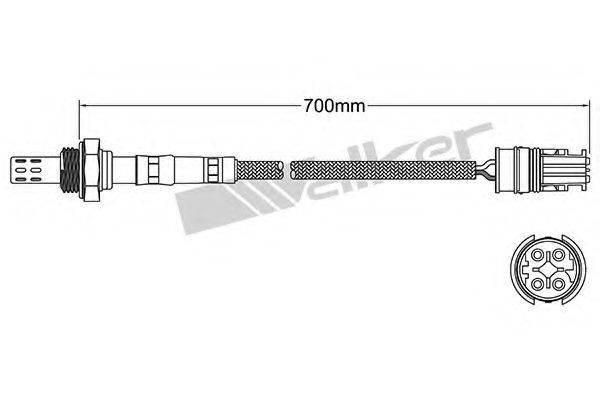 WALKER PRODUCTS 25024411 Лямбда-зонд