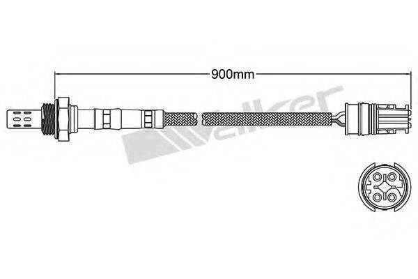 WALKER PRODUCTS 25024444 Лямбда-зонд