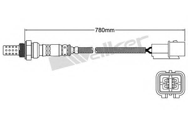 WALKER PRODUCTS 25024242 Лямбда-зонд