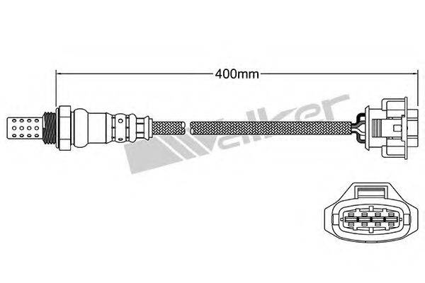 WALKER PRODUCTS 25024612 Лямбда-зонд