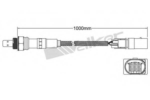 WALKER PRODUCTS 80095018 Лямбда-зонд