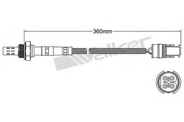 WALKER PRODUCTS 25024380 Лямбда-зонд