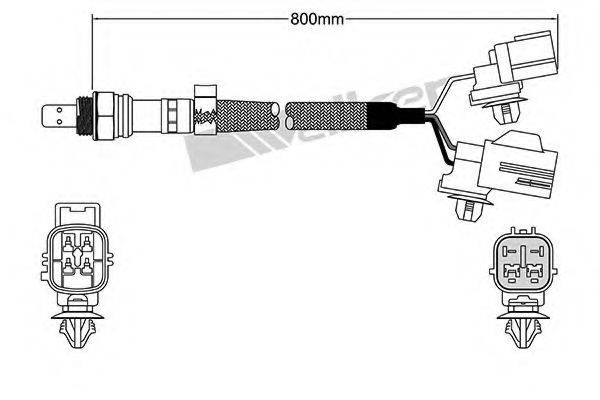 WALKER PRODUCTS 25025066 Лямбда-зонд