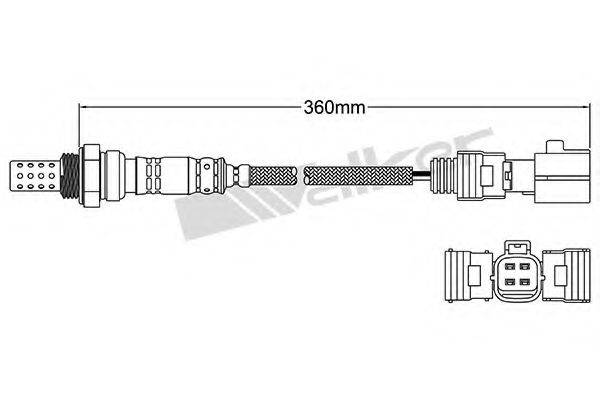 WALKER PRODUCTS 25024420 Лямбда-зонд