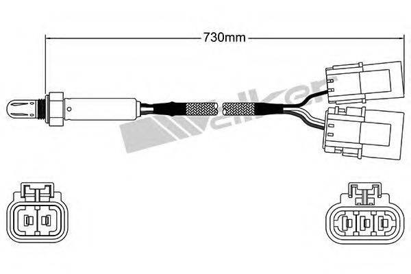 WALKER PRODUCTS 25024505 Лямбда-зонд