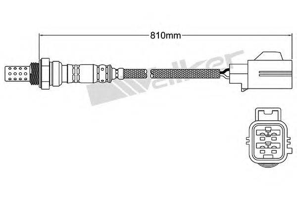 WALKER PRODUCTS 25024408 Лямбда-зонд