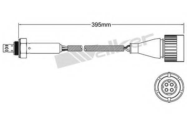 WALKER PRODUCTS 25024801 Лямбда-зонд