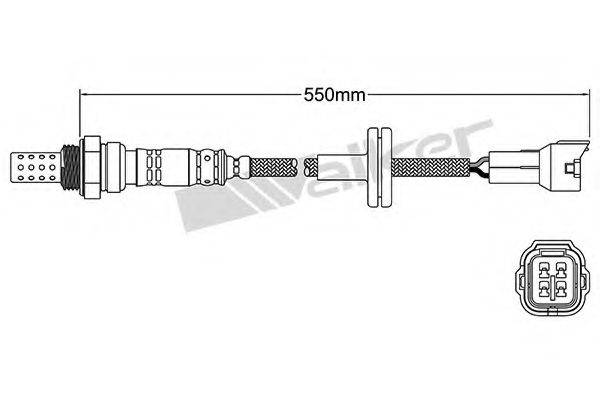 WALKER PRODUCTS 25024967 Лямбда-зонд