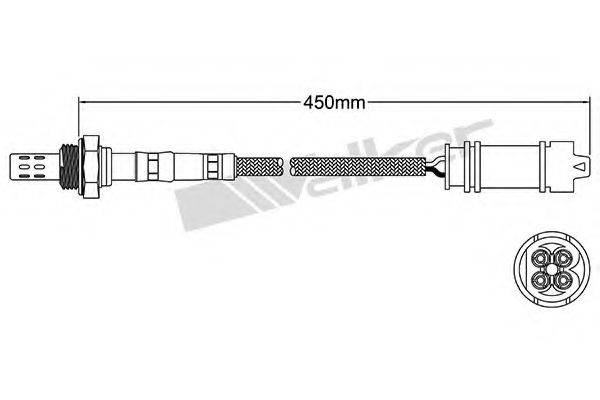 WALKER PRODUCTS 25024638 Лямбда-зонд