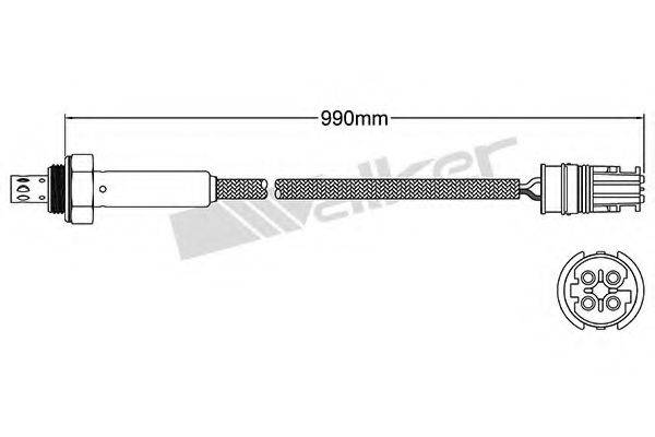 WALKER PRODUCTS 25024810 Лямбда-зонд