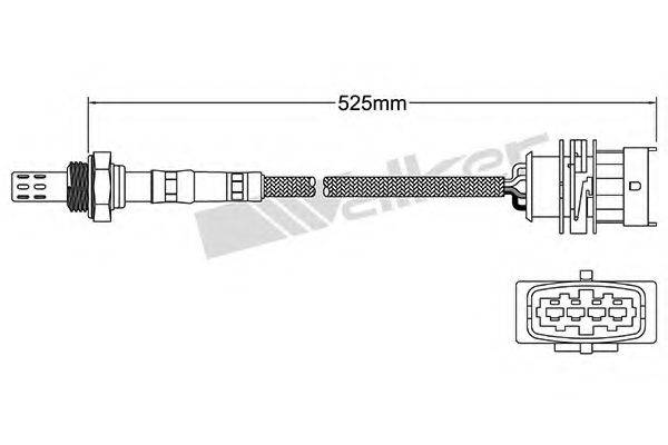 WALKER PRODUCTS 250241024 Лямбда-зонд