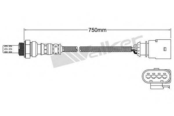 WALKER PRODUCTS 250241091 Лямбда-зонд