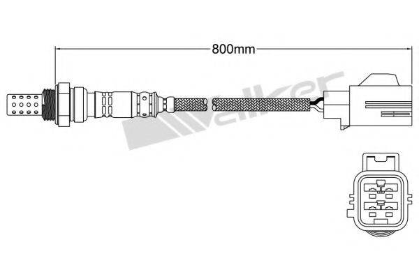 WALKER PRODUCTS 25024744 Лямбда-зонд