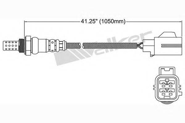 WALKER PRODUCTS 250241071 Лямбда-зонд