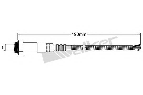 WALKER PRODUCTS 250241100 Лямбда-зонд