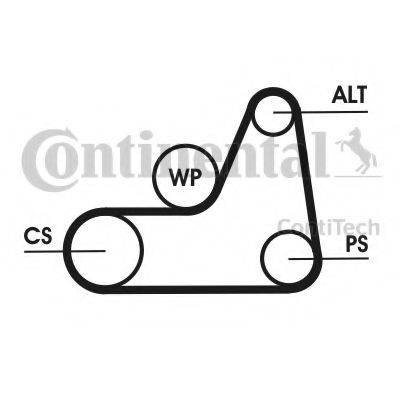 CONTITECH 6PK1042ELASTT1 Полікліновий ремінний комплект